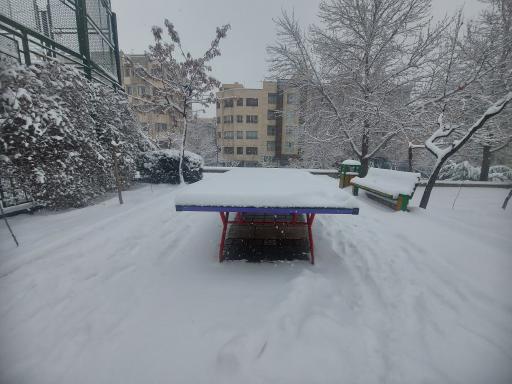 عکس بوستان آبشار