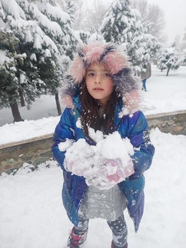 عکس بوستان آبشار