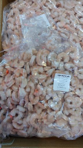 عکس ماهی افشار 