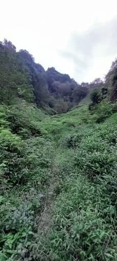 عکس آبشار طبیعی دیوشل 