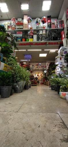 عکس قصرگل مگنولیا