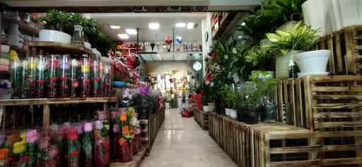 عکس قصرگل مگنولیا