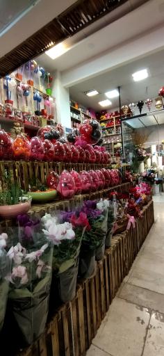 عکس قصرگل مگنولیا