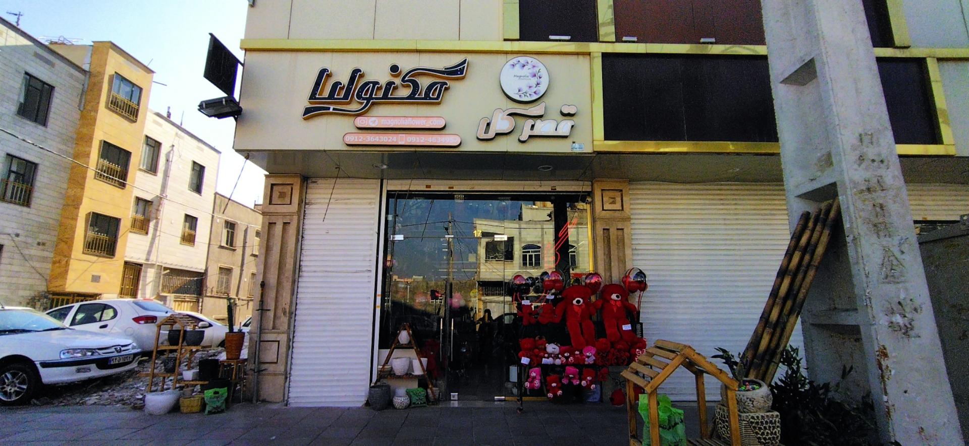 عکس قصر گل مگنولیا