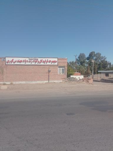 عکس مجموعه تولید گل و گیاه زنده یاد مهندس گوری