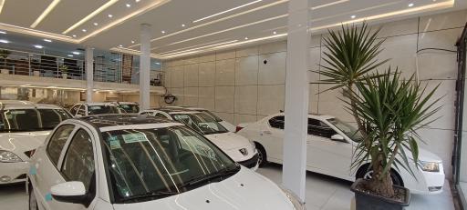 عکس اتوگالری مجید