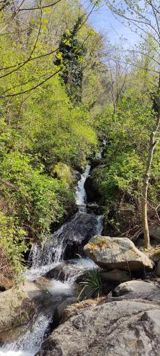 عکس آبشار طبیعی دیوشل 