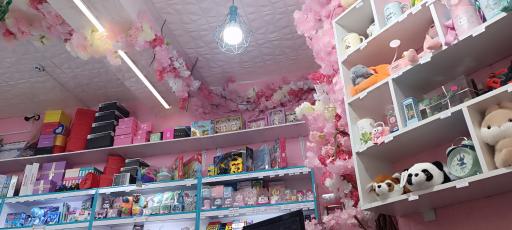 عکس کپی و پرینت رنگی و لوازم التحریر سفید