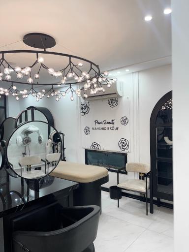 عکس پنس بیوتی