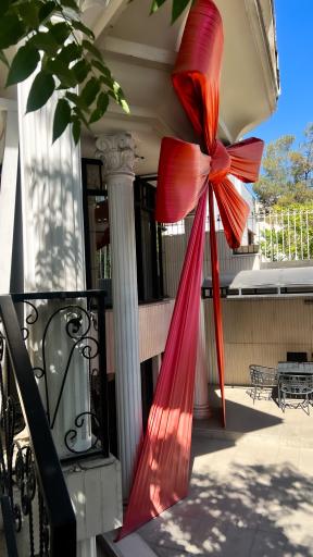 عکس پنس بیوتی