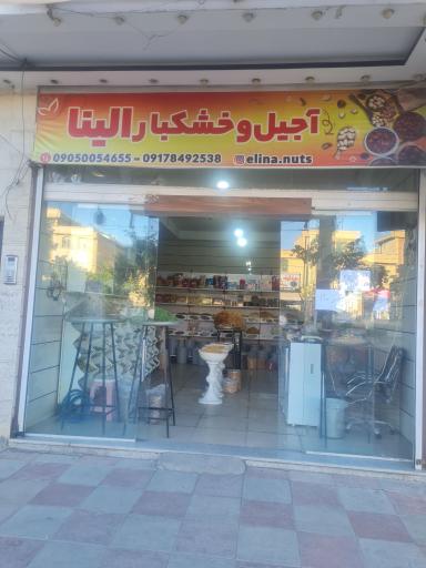 عکس خشکبار الینا