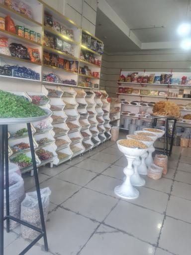 عکس خشکبار الینا