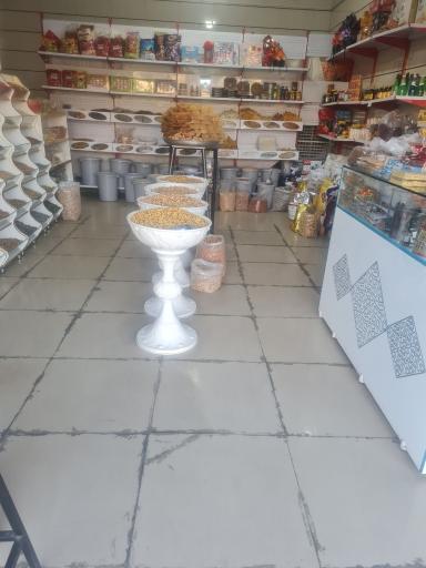 عکس خشکبار الینا
