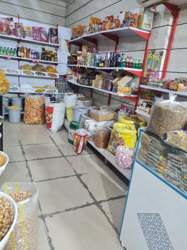 عکس خشکبار الینا