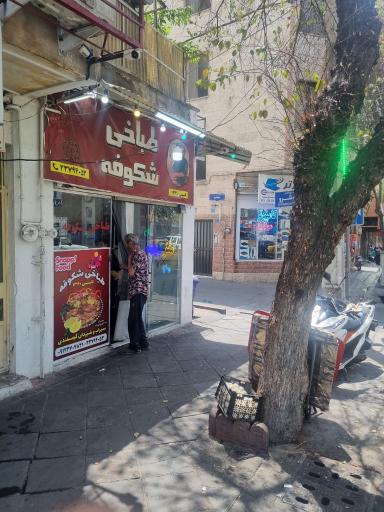 عکس طباخی شکوفه