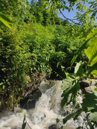 عکس آبشار طبیعی دیوشل 