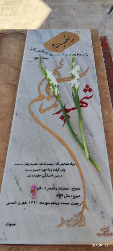 عکس یادمان شهدای گمنام