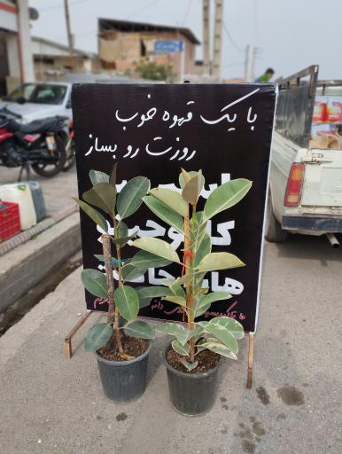 عکس سوپرمارکت مهران 