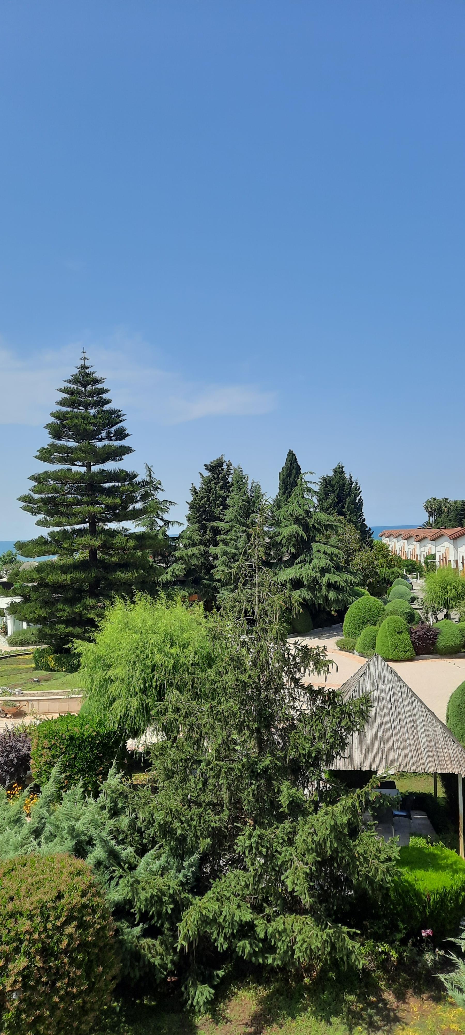 عکس هتل مروارید خزر