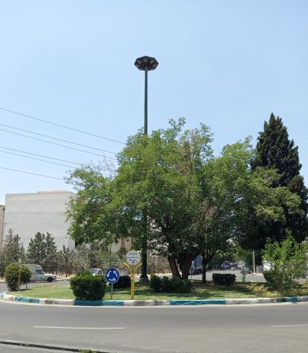 عکس میدان شهید علایی پور