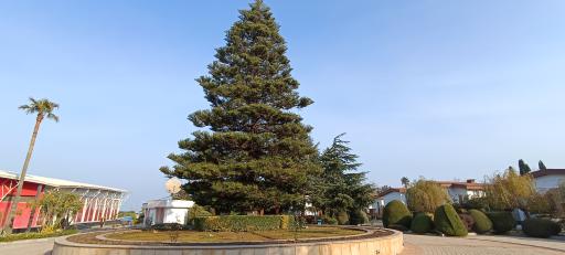 عکس هتل مروارید خزر