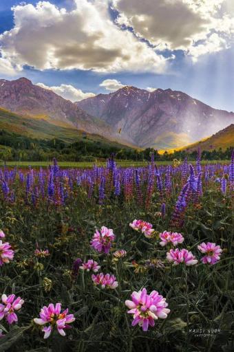 عکس اشترانکوه