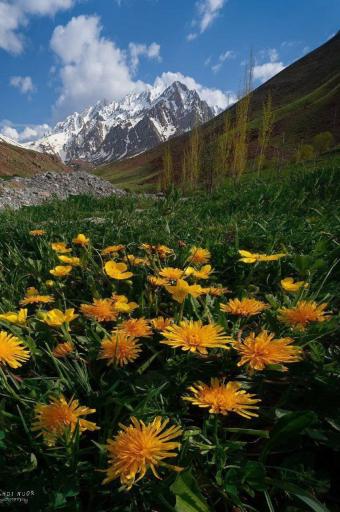 عکس اشترانکوه