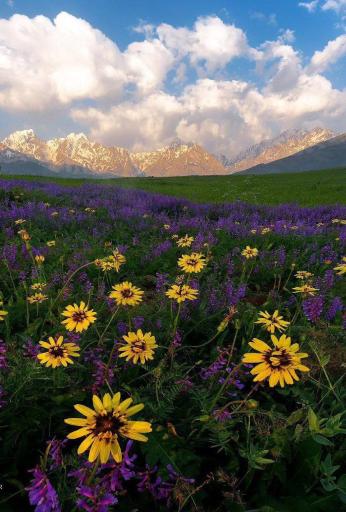 عکس اشترانکوه