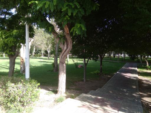 عکس پل شهرستان