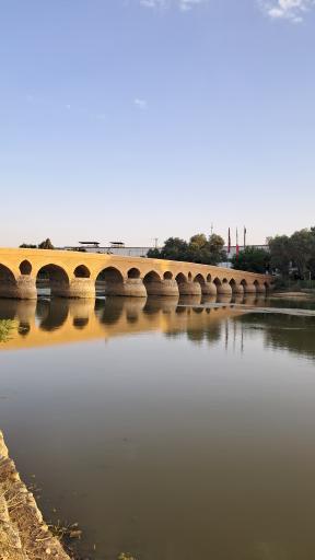 عکس پل شهرستان