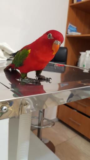 عکس کلینیک دامپزشکی دکتر ذاکریان