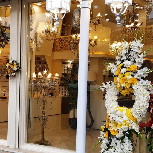 عکس مشهور الکتریک