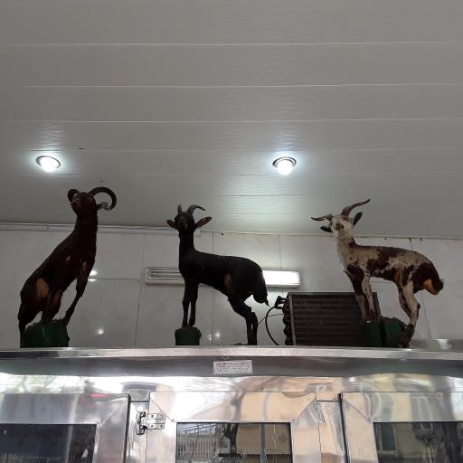 عکس سوپر گوشت بختیار