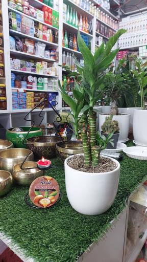 عکس عطاری دارالشفا (شعبه ۲۰)