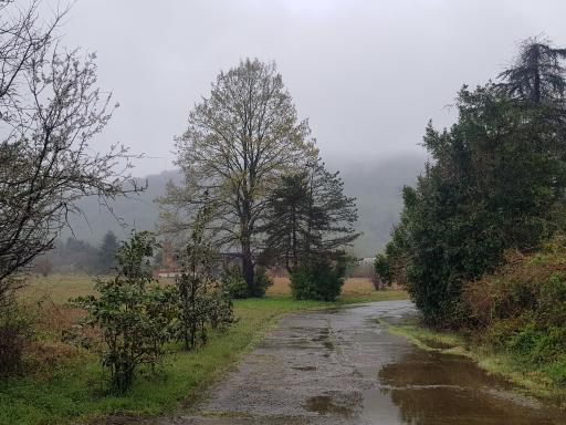 عکس کاخ ملکه مادر