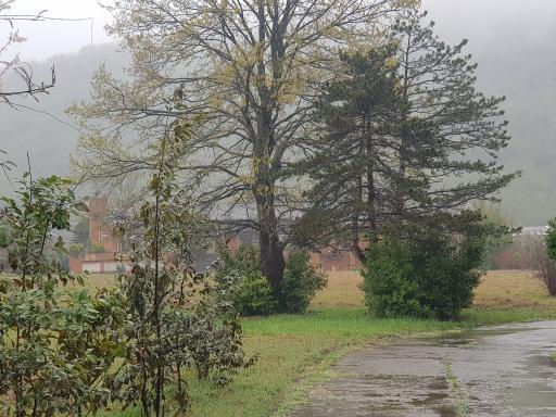 کاخ ملکه مادر