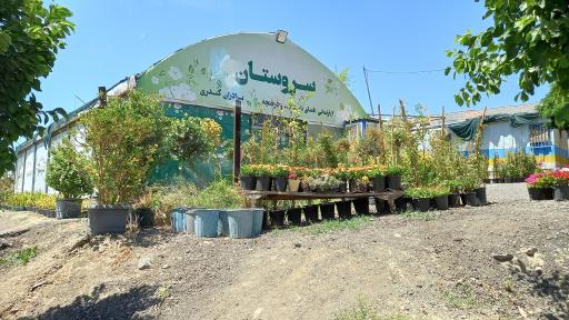 عکس گلخانه سروستان