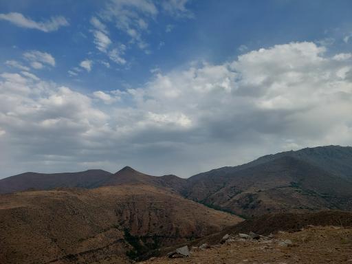 عکس چوبه
