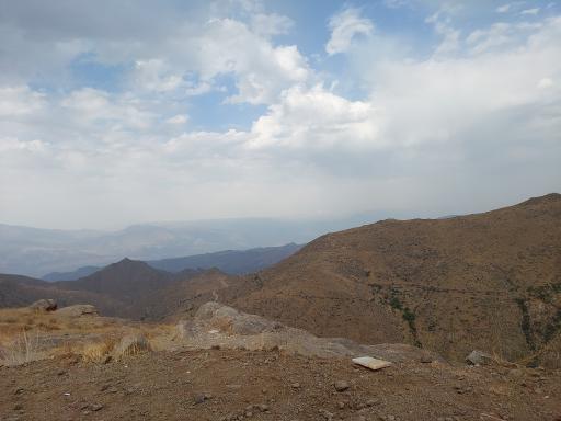 عکس چوبه
