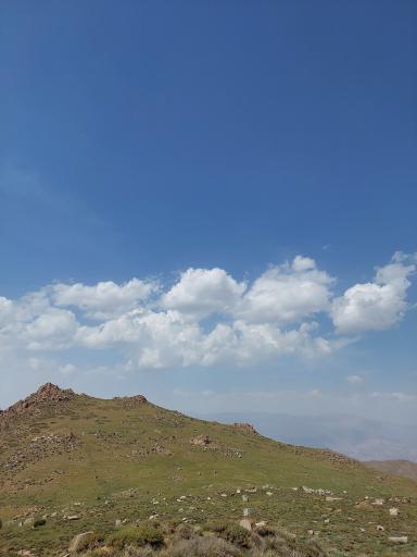 عکس چوبه