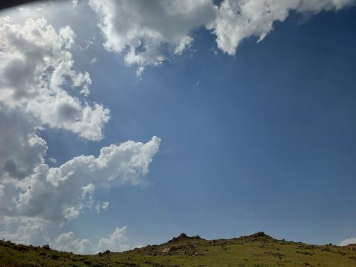 عکس چوبه