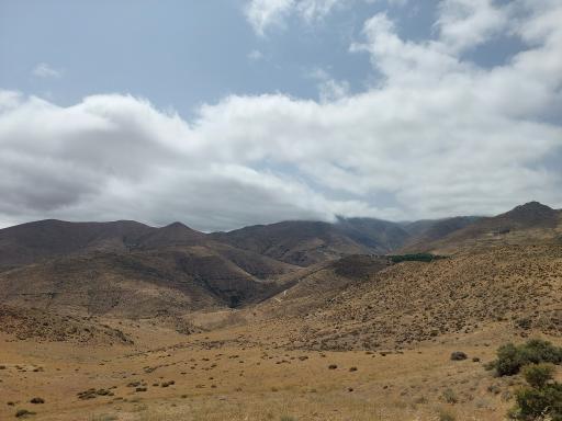 عکس چوبه