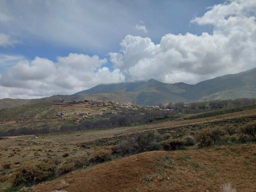 عکس چوبه