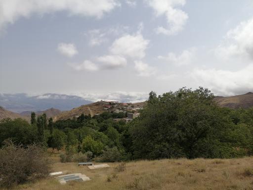 عکس چوبه
