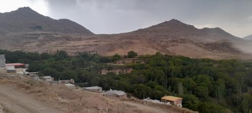 عکس چوبه