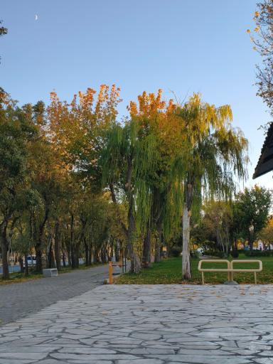 عکس پارک رضوان