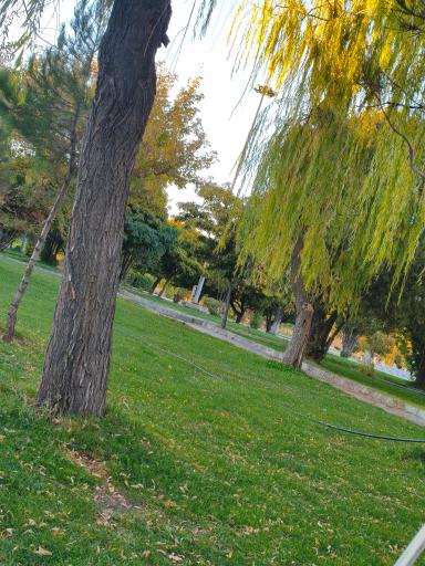 عکس پارک رضوان