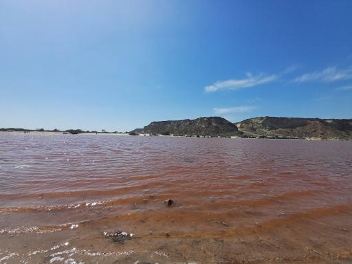 عکس دریاچه صورتی (تالاب لیپار)