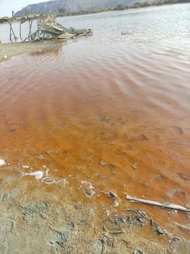 عکس دریاچه صورتی (تالاب لیپار)