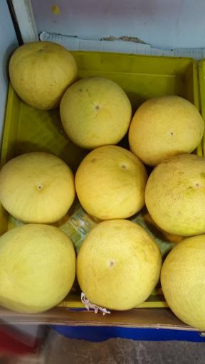 عکس میوه سرای نواب